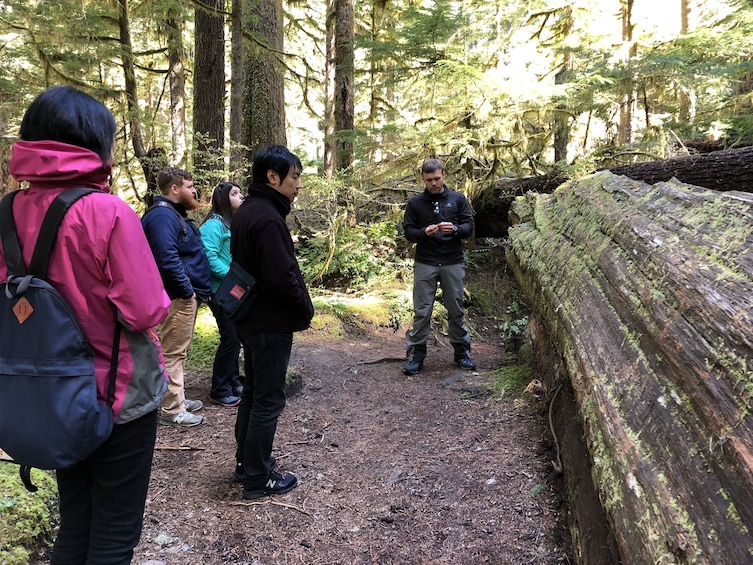 Olympic National Park from Seattle: All-Inclusive Day Tour