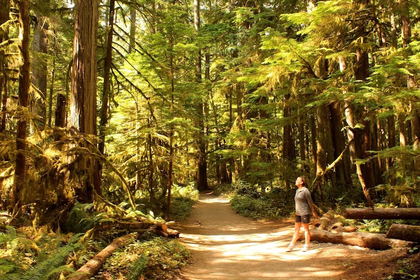 Olympic National Park from Seattle: All-Inclusive Day Tour