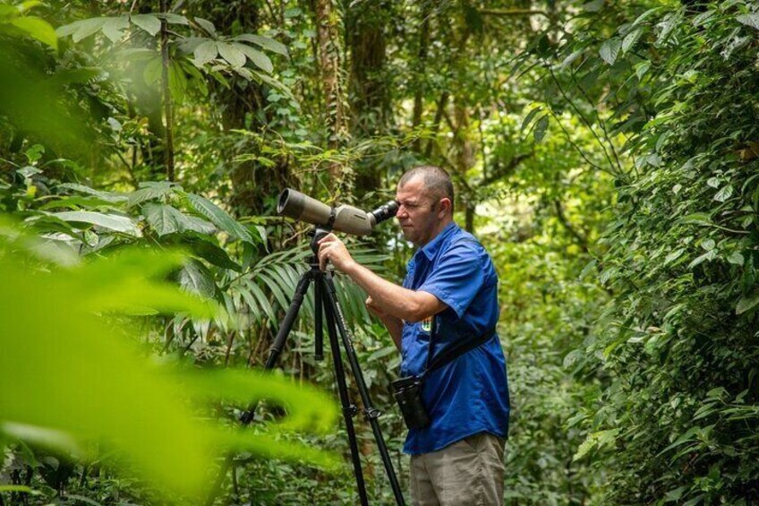 Cloud Forest Adventure: Hike the Mystical Canopy!