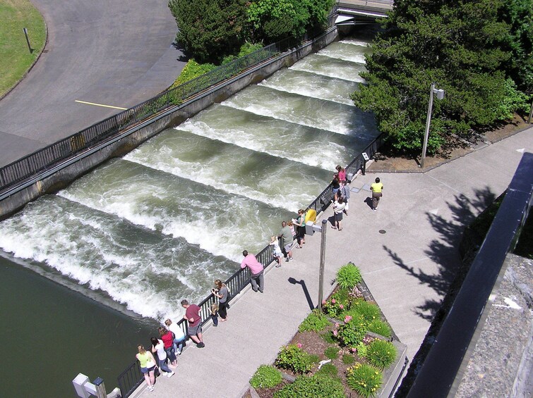 Multnomah Falls & Columbia River Gorge Tour with Gray Line