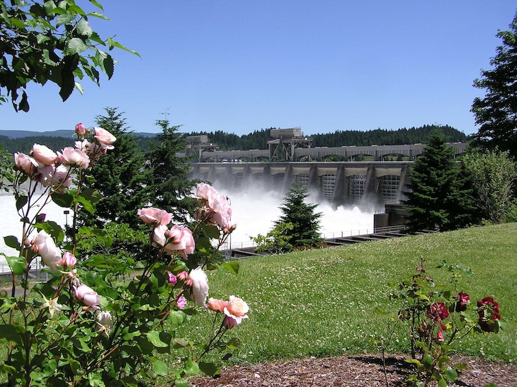 Multnomah Falls & Columbia River Gorge Tour  with Gray Line