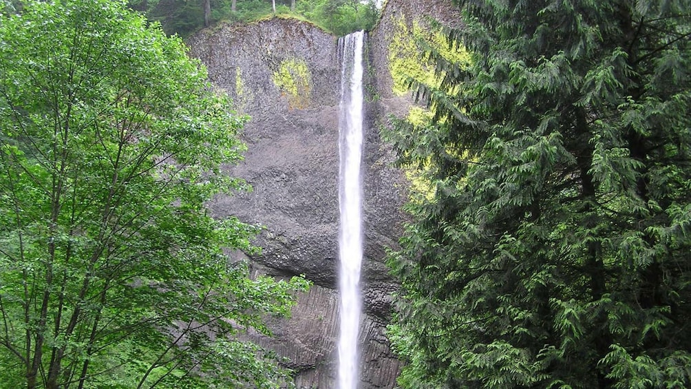 Multnomah Falls in Oregon 