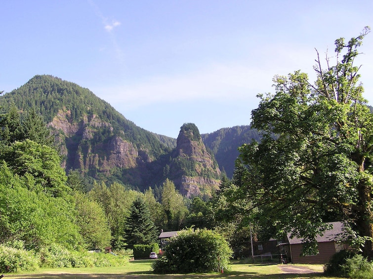 Multnomah Falls & Columbia River Gorge Tour  with Gray Line