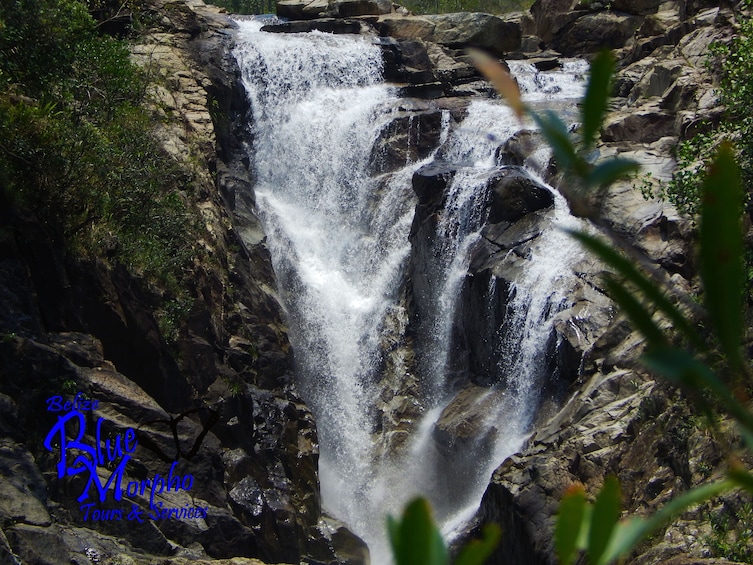 Big Rock Waterfalls and Mayan Culture Experience 