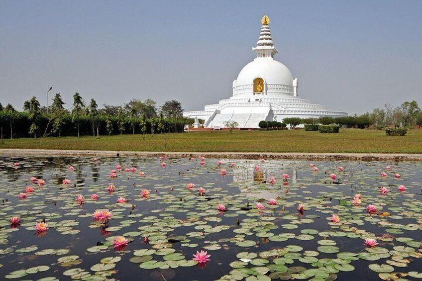 Buddha Stupa