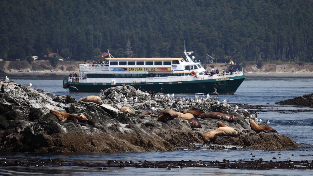 Cruise ship on the Rocky shore line in Washington
