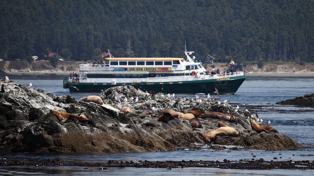 Cruise ship on the Rocky shore line in Washington 