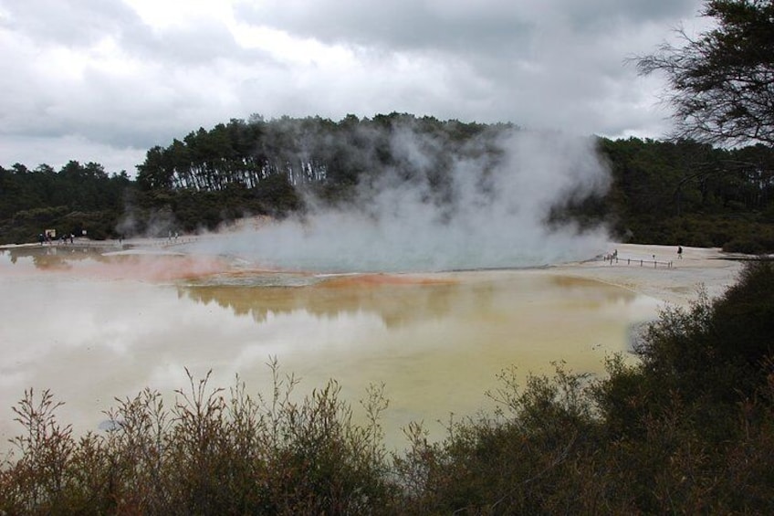 Private Tour Waiotapu Geothermal Shore Excursion up to 8 passengers
