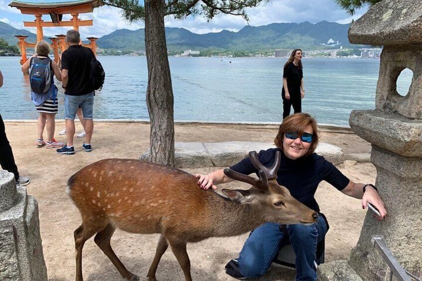 Hiroshima / Miyajima Half-day Private Tour with Government Licensed Guide
