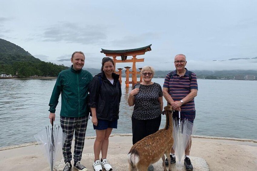 Hiroshima / Miyajima Half-day Private Tour with Government Licensed Guide
