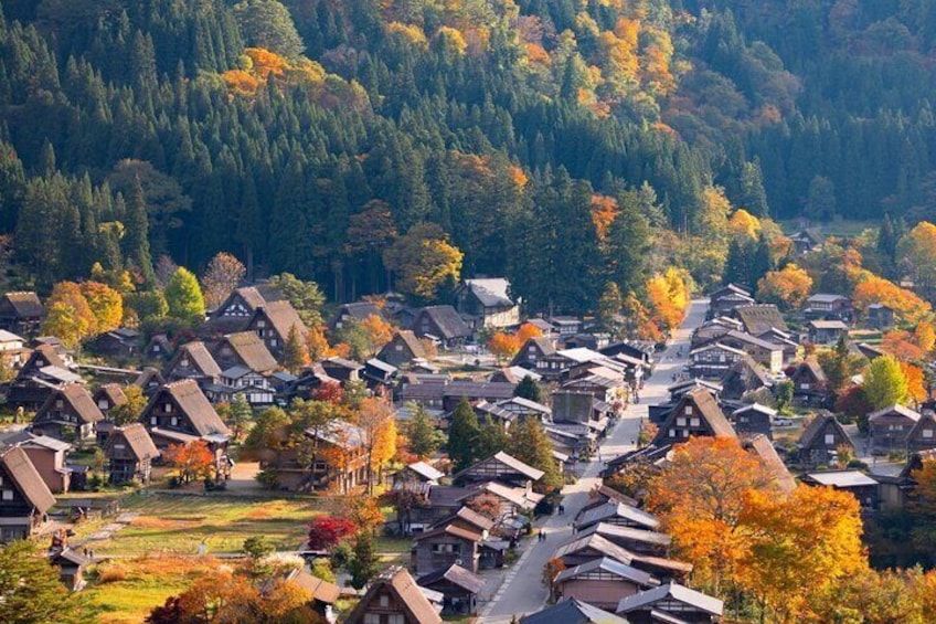 Nagoya: Hida Takayama & World Heritage Shirakawa-go 1Day Bus Tour