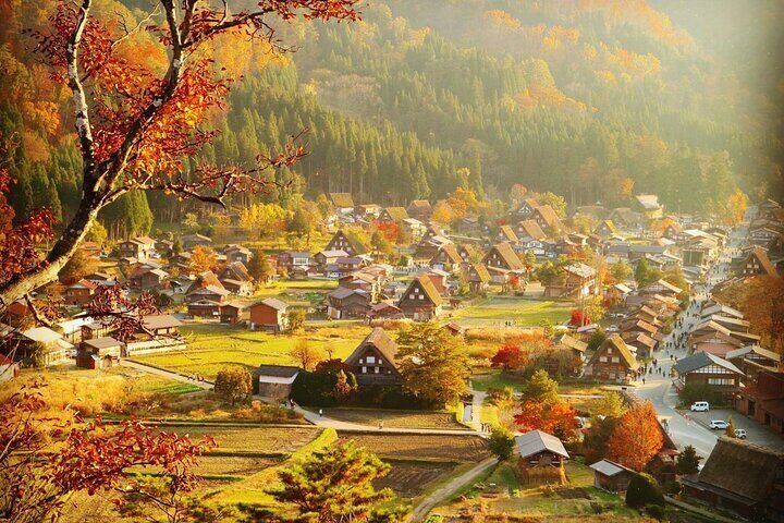 Nagoya: Hida Takayama & Shirakawa-go Bus Tour w/Optional Lunch