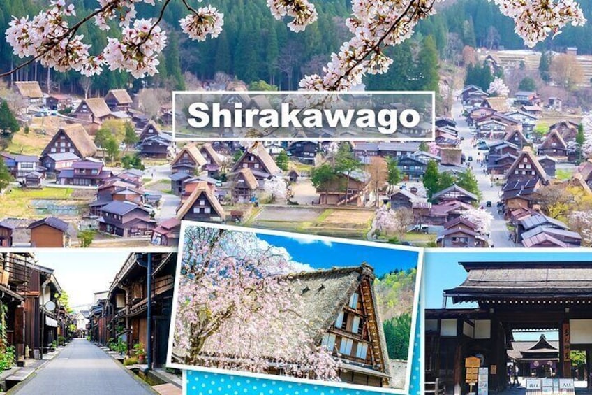 Nagoya: Hida Takayama & World Heritage Shirakawa-go 1Day Bus Tour