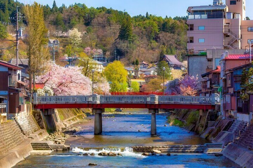 Nagoya: Hida Takayama & World Heritage Shirakawa-go Day Tour