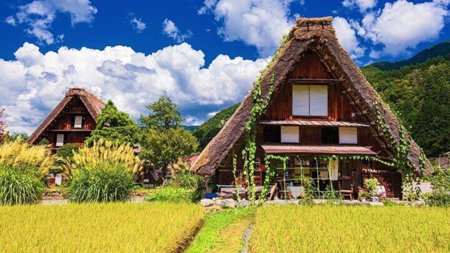 Nagoya: Hida Takayama & World Heritage Shirakawa-go 1Day Bus Tour