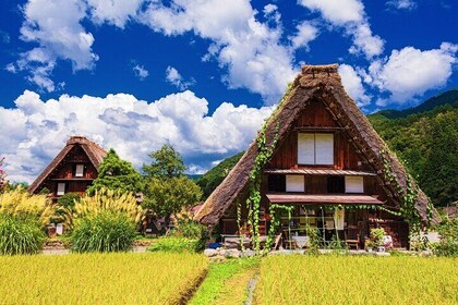 Nagoya: Hida Takayama & World Heritage Shirakawa-go 1Day Bus Tour