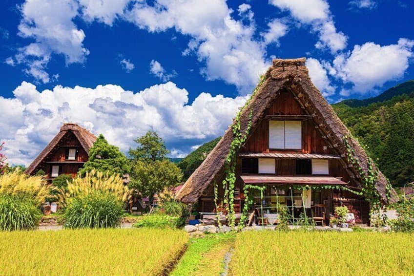 Nagoya: Hida Takayama & World Heritage Shirakawa-go 1Day Bus Tour
