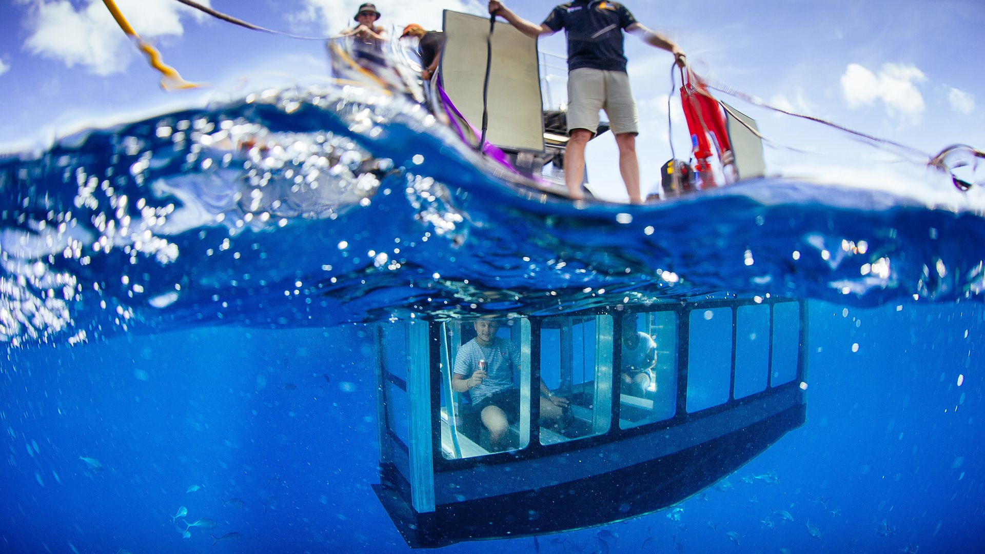 10 Top Things To Do In Port Lincoln 2020 Activity Guide Expedia