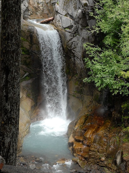 Mt. Rainier Full-Day Tour 