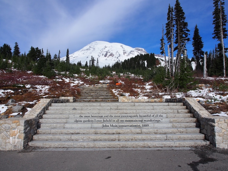 Mt. Rainier Full-Day Tour 