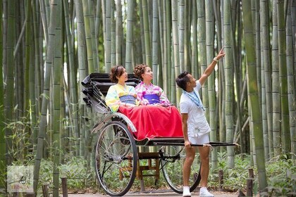 與竹林的京都嵐山人力車之旅