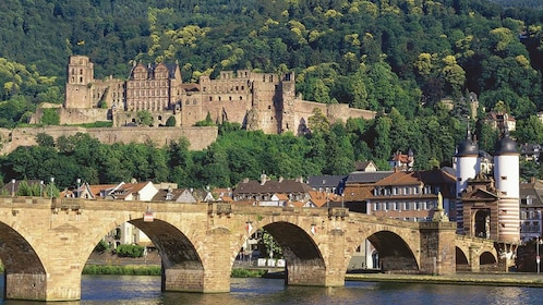 Tour di Heidelberg con ingresso al castello e botte di vino