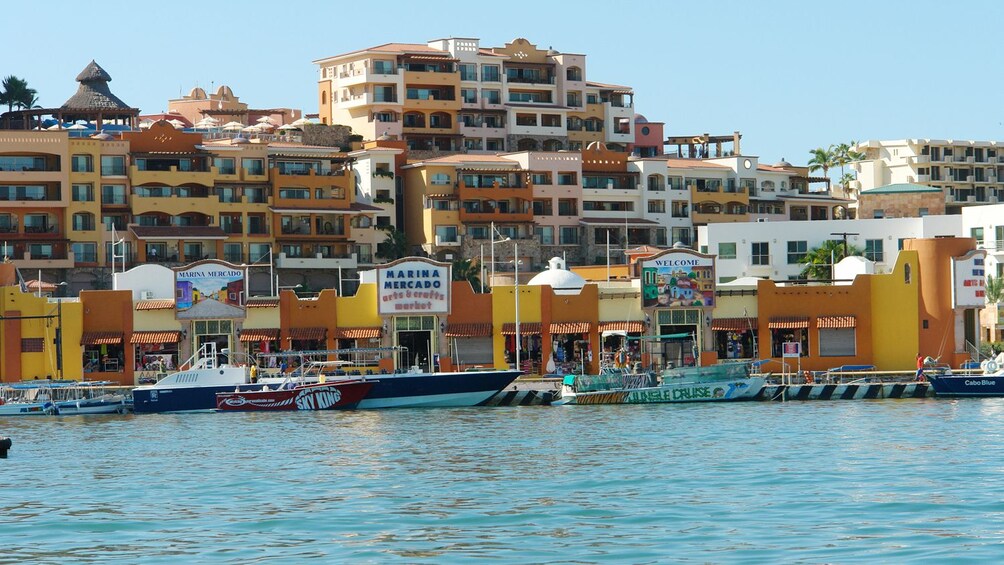 boats and shops alongs boat dock in Los Cabos