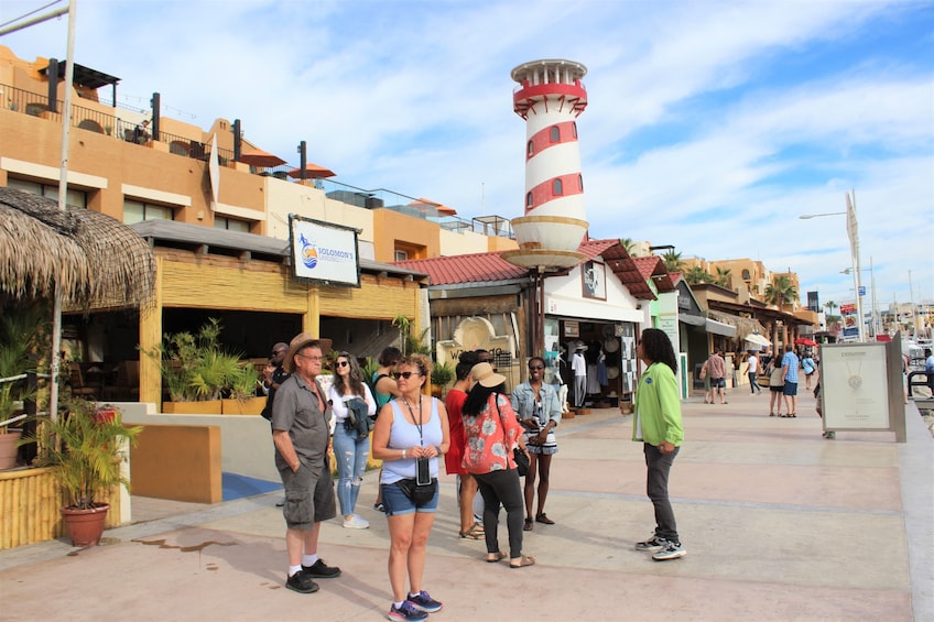 Los Cabos Deluxe City Tour with Lunch