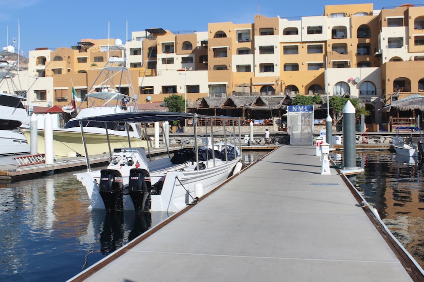 Los Cabos Deluxe City Tour with Lunch