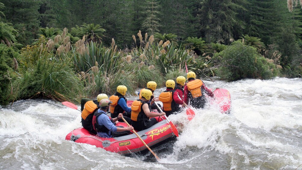 Show item 4 of 5. white water rafters fighting the rapids in New Zealand