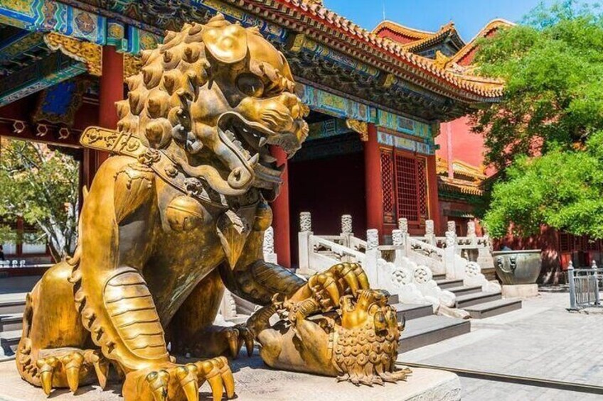 Beijing Private Tour: Forbidden City, Tiananmen & Summer Palace