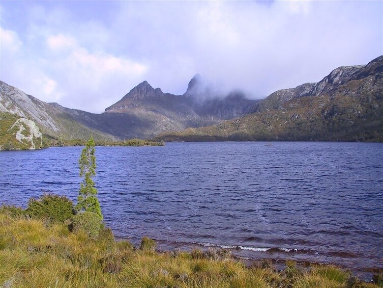 Show item 3 of 7. Cradle Mountain National Park Day Tour from Launceston