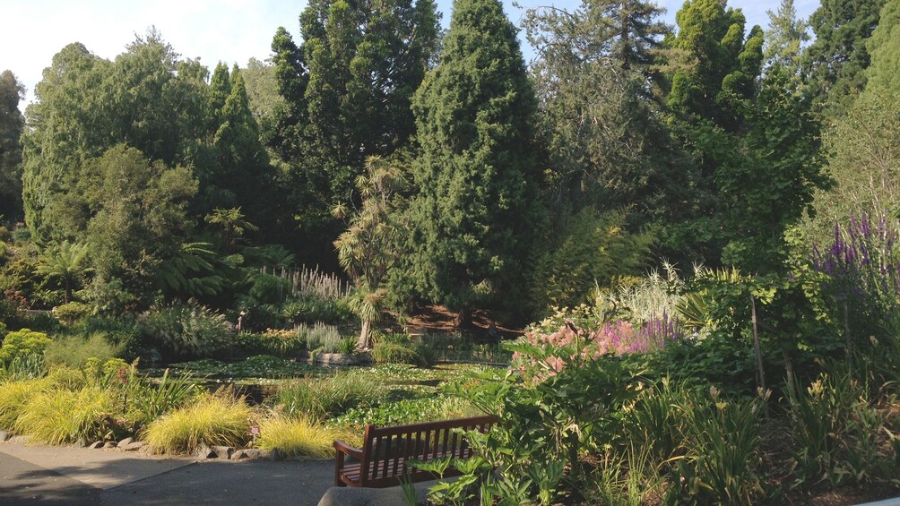 正在顯示第 4 張相片,共 5 張。 Garden view of Hobart