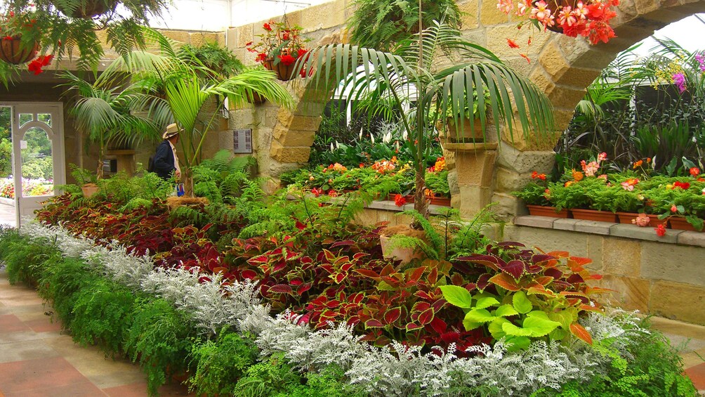 正在顯示第 3 張相片,共 5 張。 Beautiful botanical view of Hobart