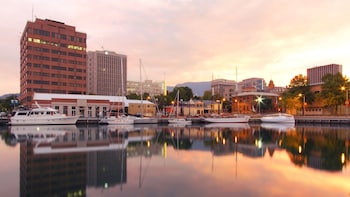 City, Bonorong Wildlife & Richmond Full-Day Tour from Hobart