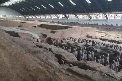 Terra cotta Army Museum Tour With English Guide Service