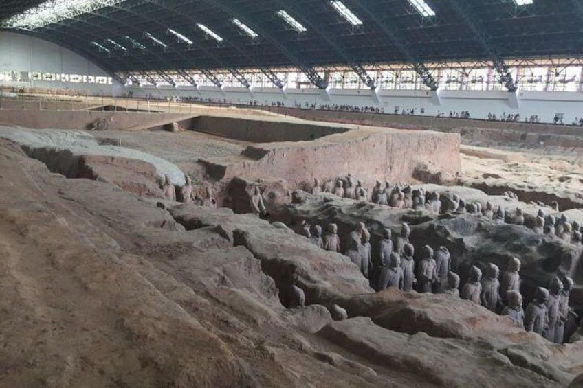 Afternoon Tour to Terracotta Warriors Museum