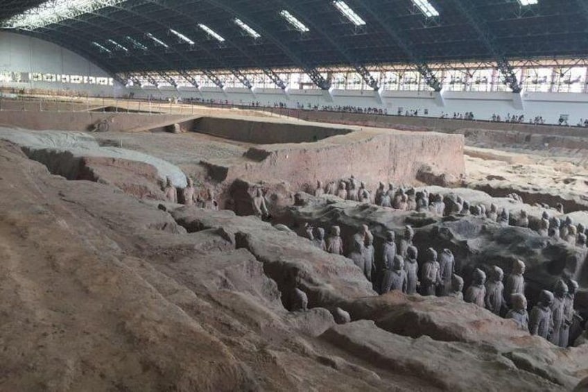 Terra cotta Army Museum Tour With English Guide Service
