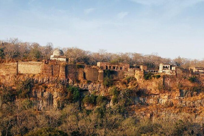 2 Days Ranthambore Tiger Safari with Tickets