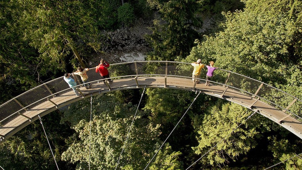 Show item 4 of 11. Capilano Suspension Bridge Park Tickets
