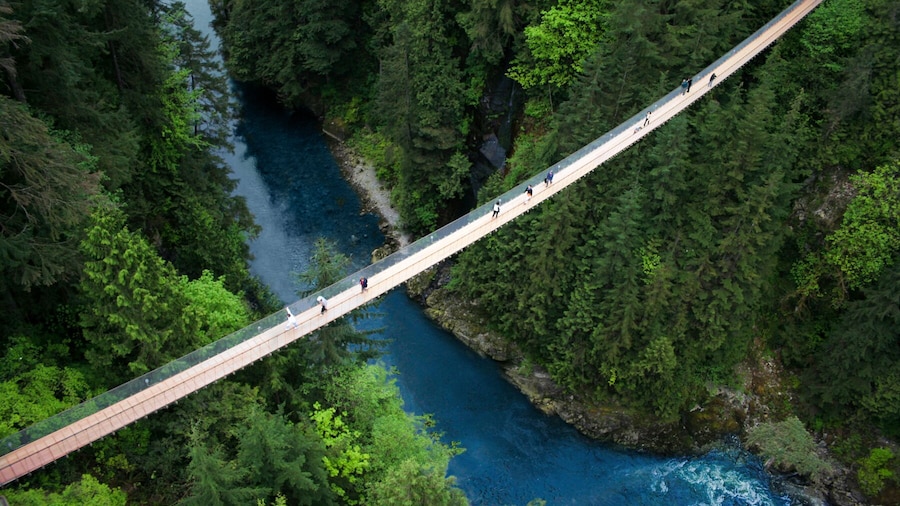 Capilano Suspension Bridge Park Tickets