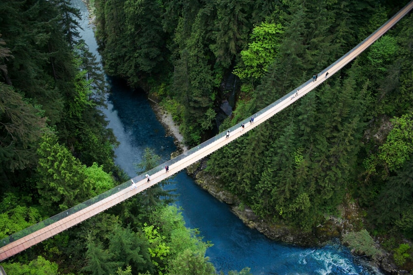 Capilano Suspension Bridge Park Tickets