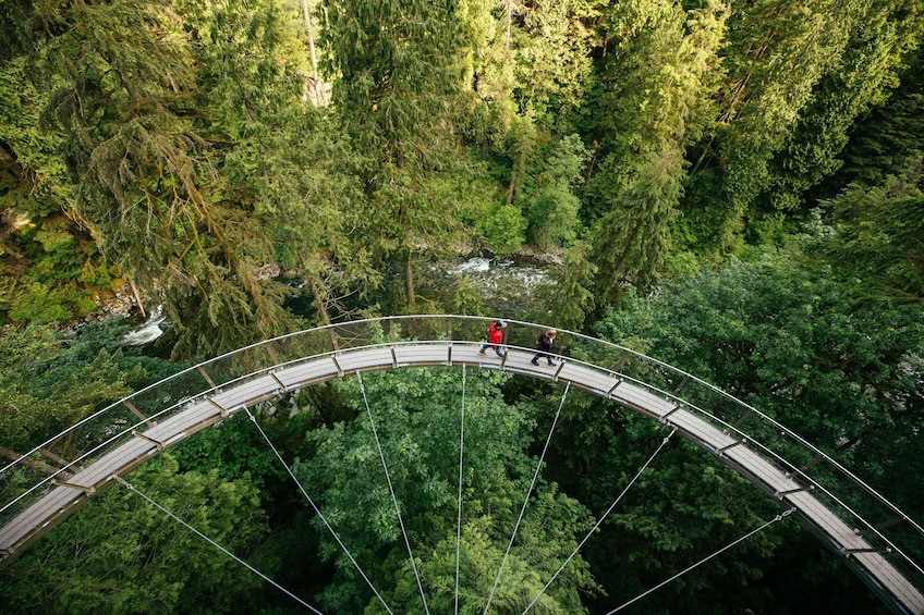 Capilano Suspension Bridge Park Tickets