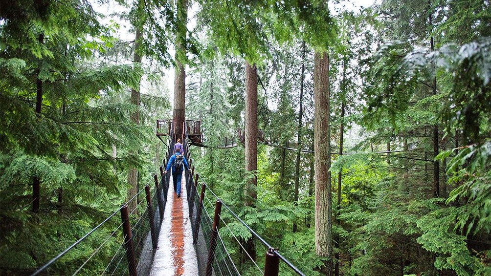 Capilano Suspension Bridge Park Tickets