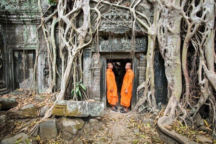 Buddhist monk at Ta Prohm so-called Tomb Raider temple surrounding by vegetation