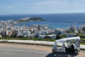e-TUK Cheese Tasting & Landscape Mykonos Tour