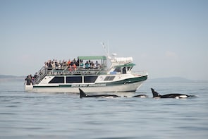 Victoria Whale Watching Tour on Covered Cruiser Vessel