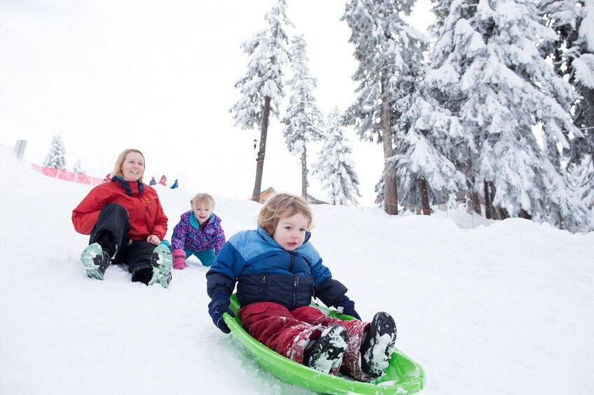 正在顯示第 4 張相片,共 6 張。 Grouse Mountain Admission Tickets