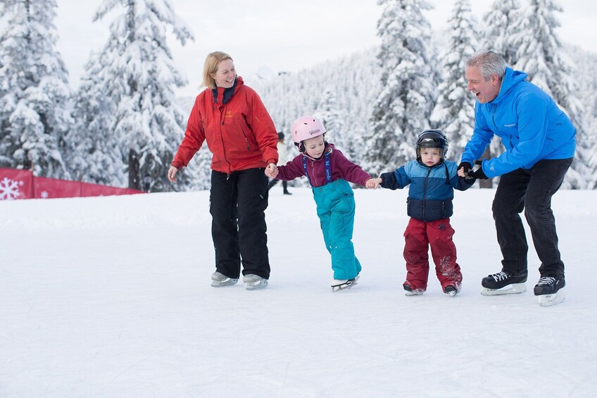 正在顯示第 5 張相片,共 6 張。 Grouse Mountain Admission Tickets