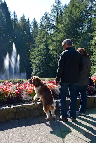 Vancouver to Victoria and Butchart Gardens Tour